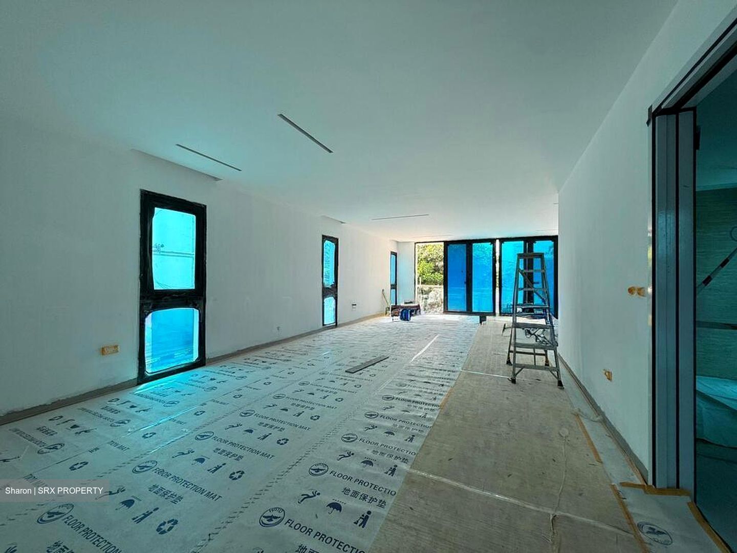 Mount Sinai Lane (D10), Detached #498699681